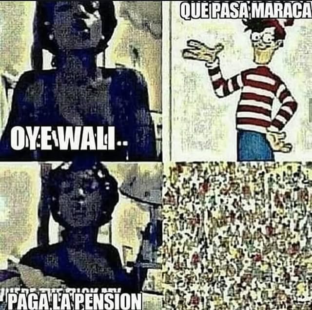 482374668-18038982344609407-7265839119197760194-n.jpg