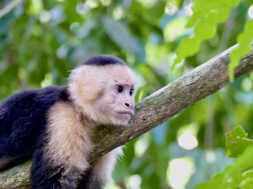 1C602159-67E6-44B6-A382-2F7CF746E00F