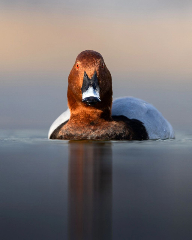 IMG_20240318_161535_804