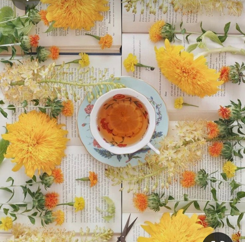 Screenshot_20230301_220810_Pinterest