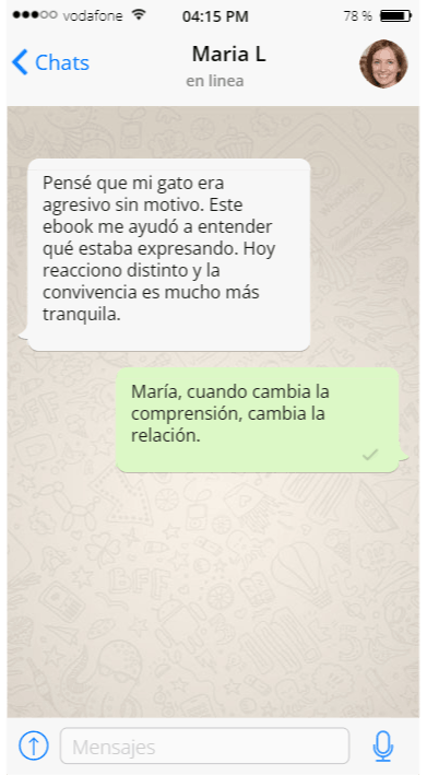 Testimonio tutor gato 3