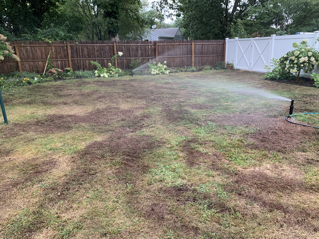 B5015DDF-D132-479B-9B33-31C2583279BF