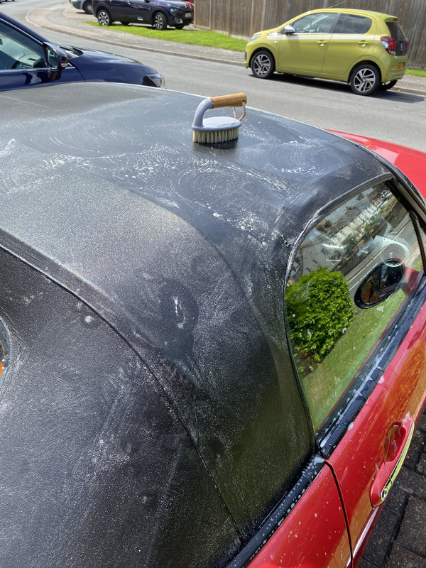 2021-07-29_13-29-26_IMG_0305