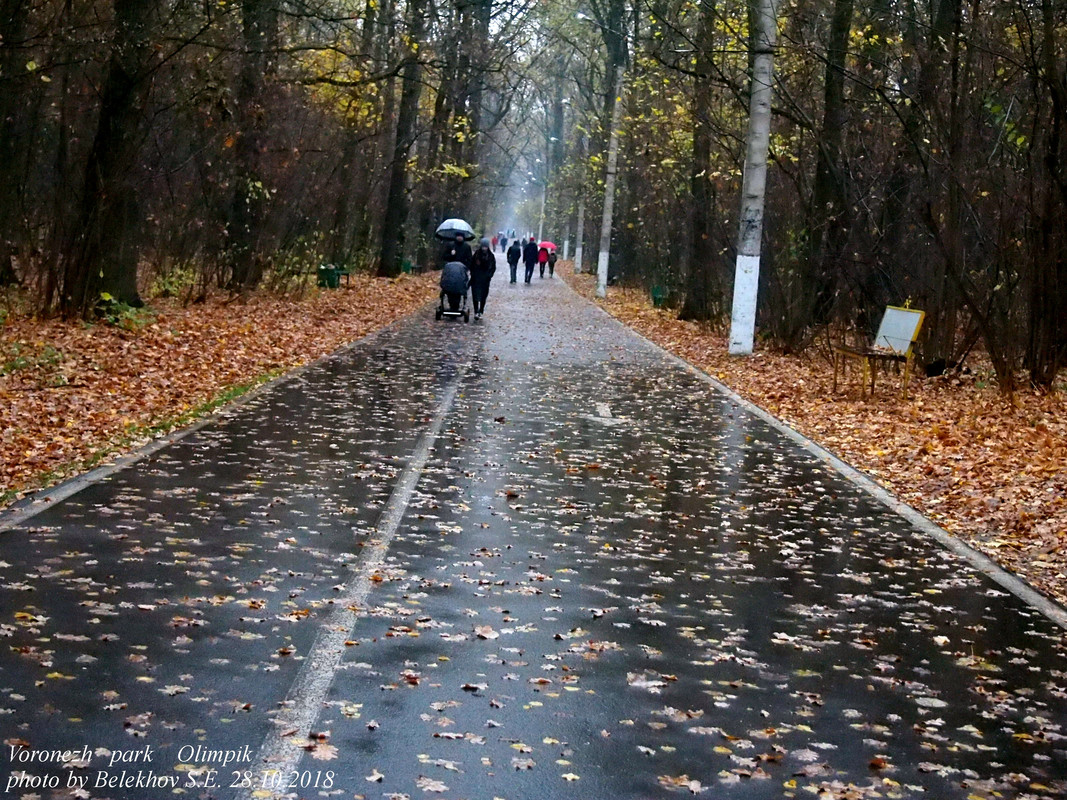 Воронеж, осень, парк