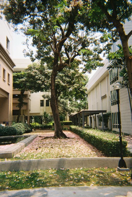 Kodak-Gold-45-resized