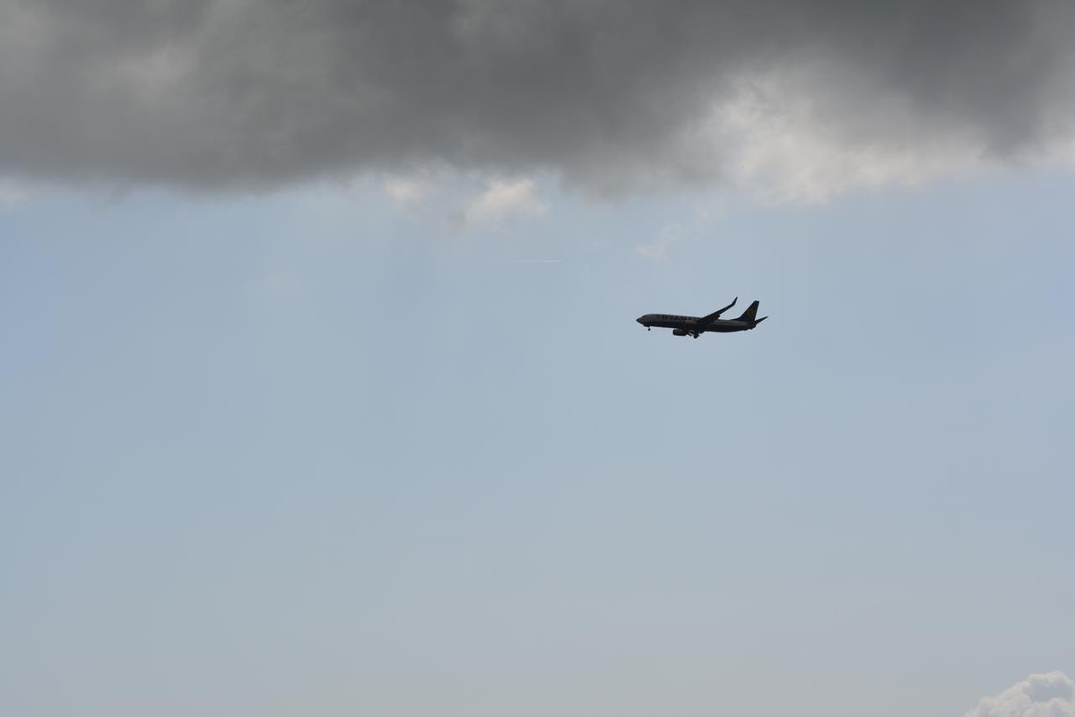 _DSC0781