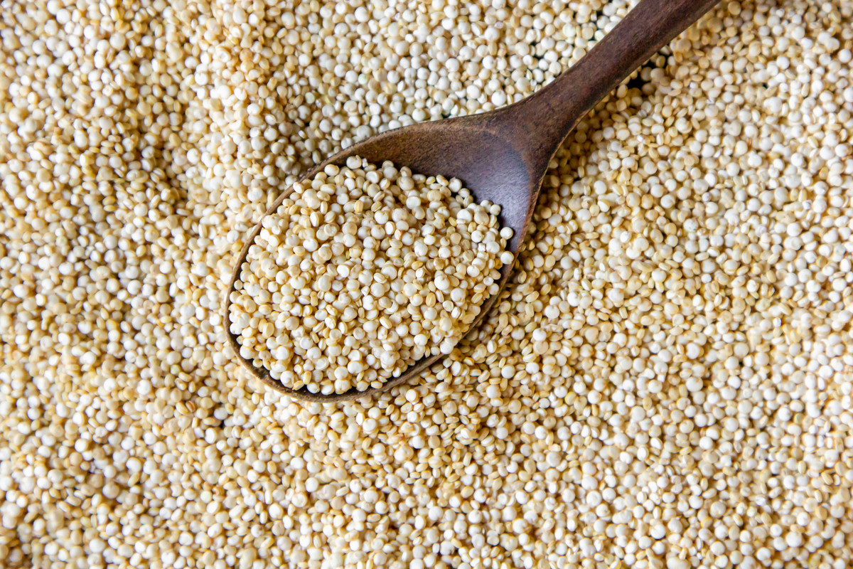 Jowar