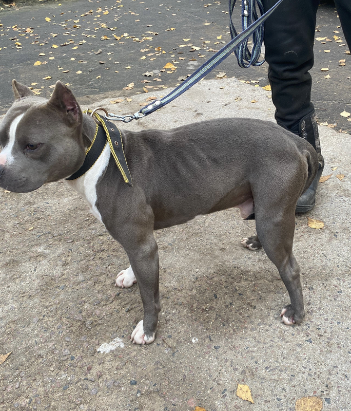 Снимок экрана 2024-10-28 в 19.51.53