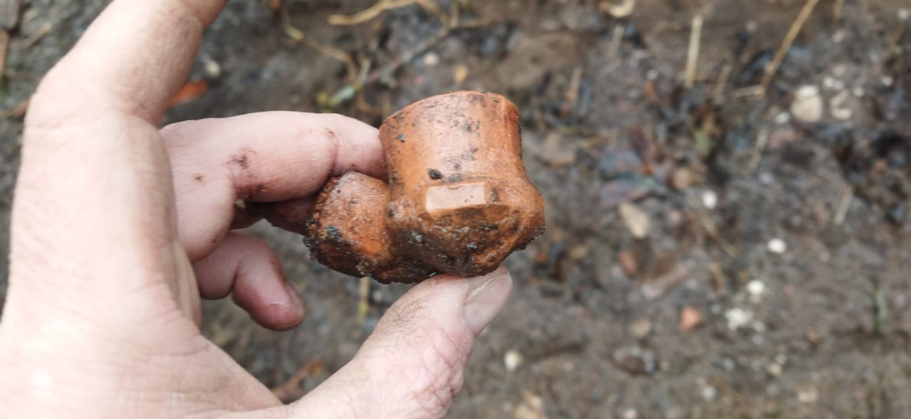 Whats App Image 2025 11 19 at 13 56 24