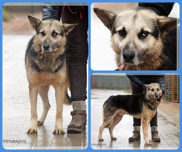 BeFunky-collage (19)