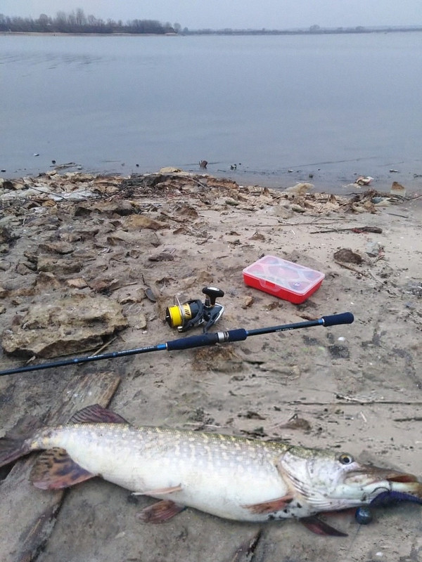 2 1 Костин Валерий Москва Ока джиг спиннинг катушка воблер судак мастер-класс Куляпин Андрей 1 1 (2 