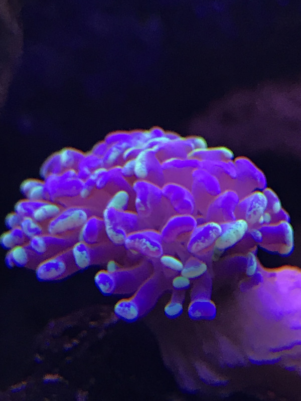 8B61E828-4096-4150-B51C-1F701216817F