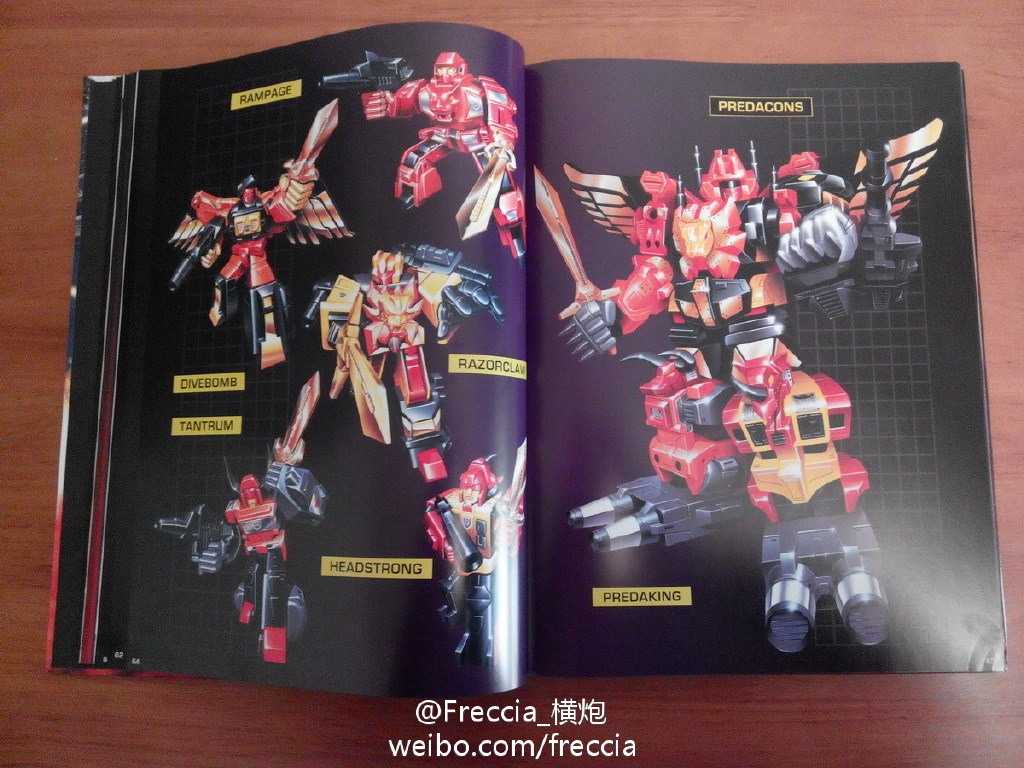 10704320_711620095590396_7987449040352094490_o