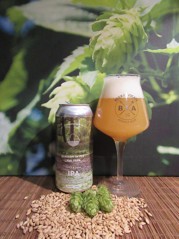 IMG_1728