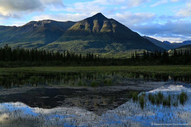 Wrangell-St. Taman Nasional Elias, Alaska