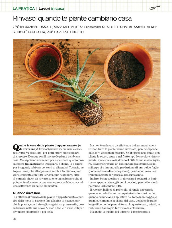 Il Mio Giar Feb-Mar 2022 (5)