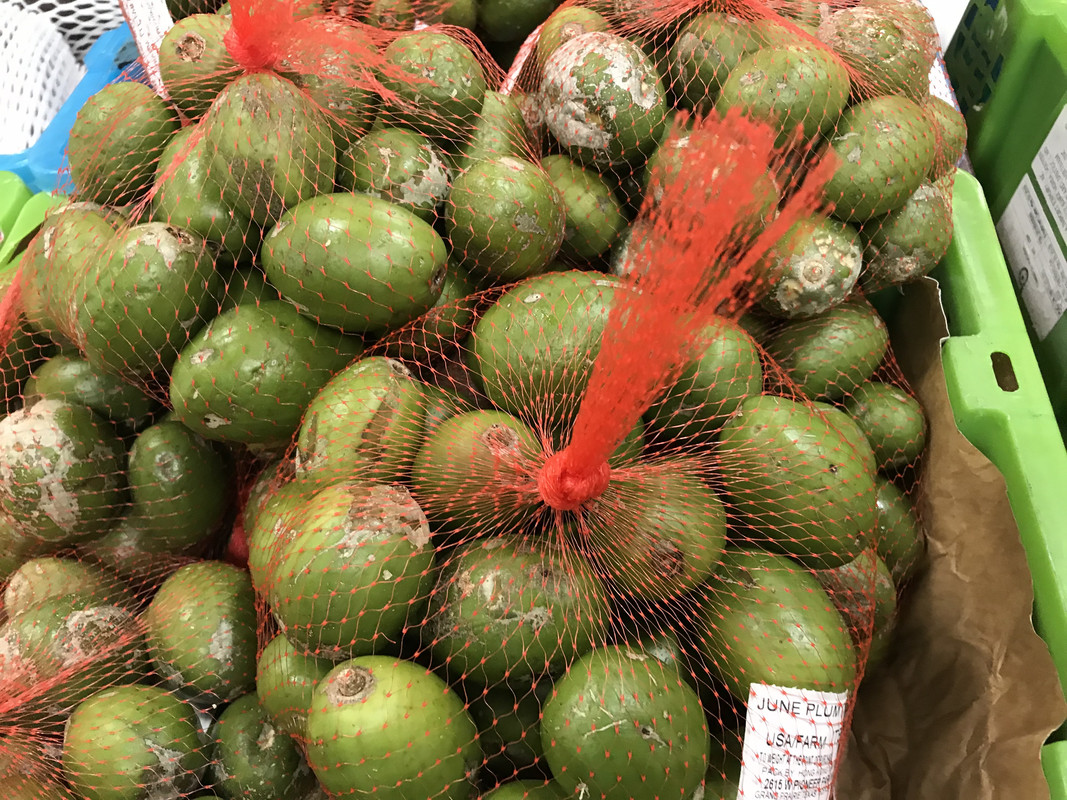 5C4B2CBB-FA76-4DC8-BABF-155015DA8917