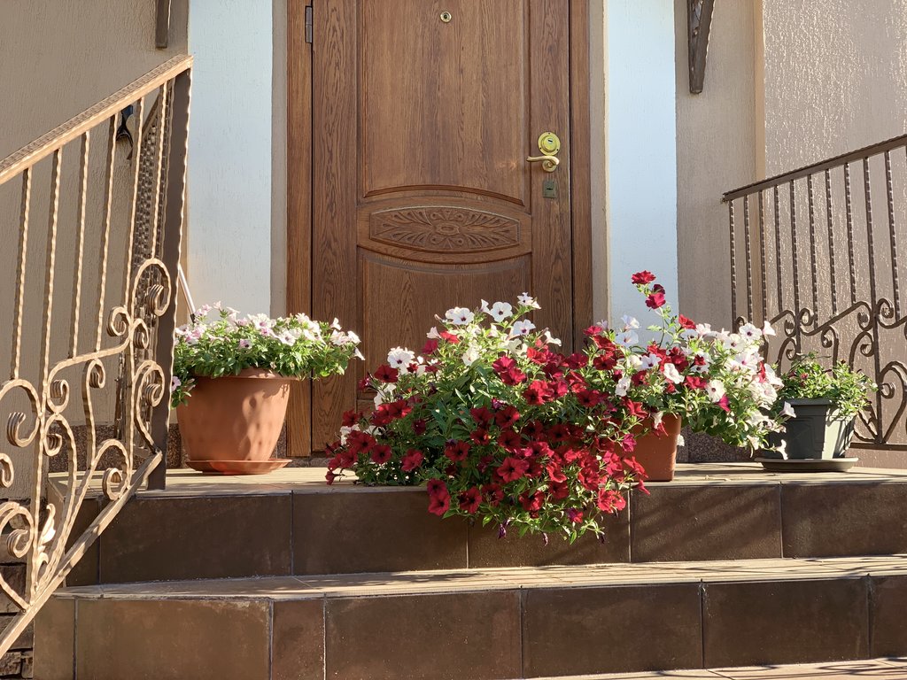 0D47103C-ADE7-46E3-B018-277BCA20AE43