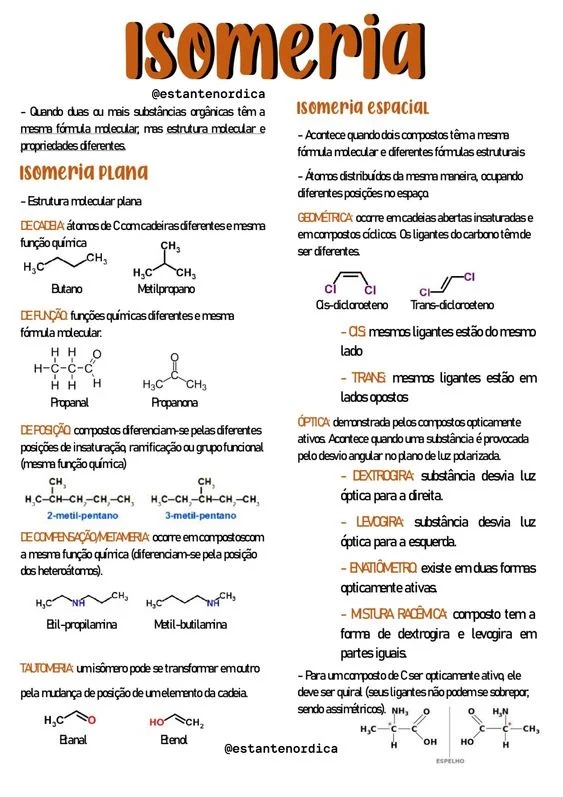 Exemplo de material de estudo 19
