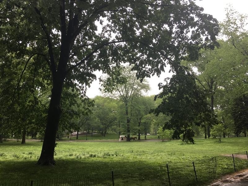 E6EA5522-A711-432D-B595-E812FCE2144E