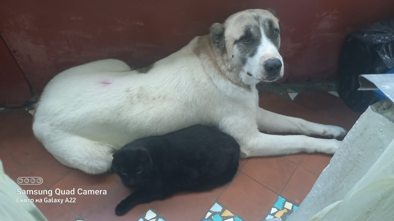 AD05A6AA-B568-492E-81C5-FFF2156C22F4