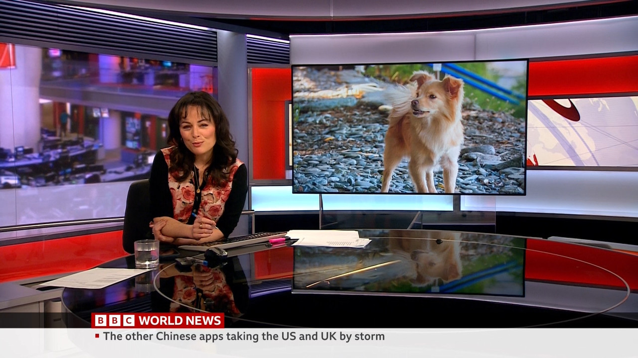 04.03 - 05.30.00 - World Business Report. Business news..ts_snapshot_24.11.110