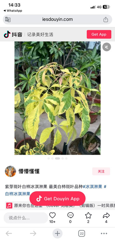IMG 20260301 WA0008