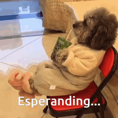 esperando-perro.gif