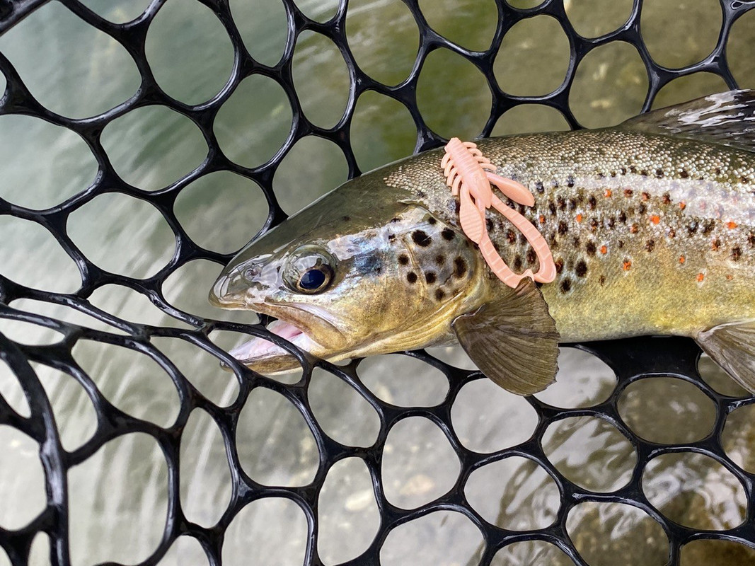Fresh Lures, trout fishing lures, trout fishing lures plastic,