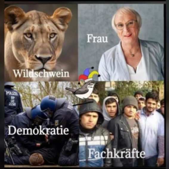 Screenshot_20230722-162417~2