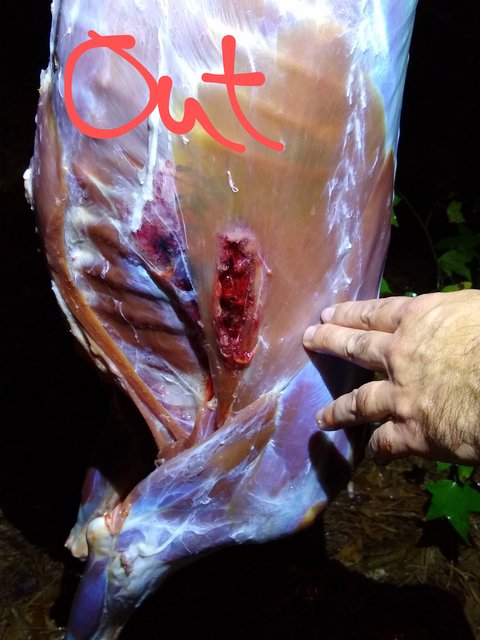 IMG_20201017_213131326~2