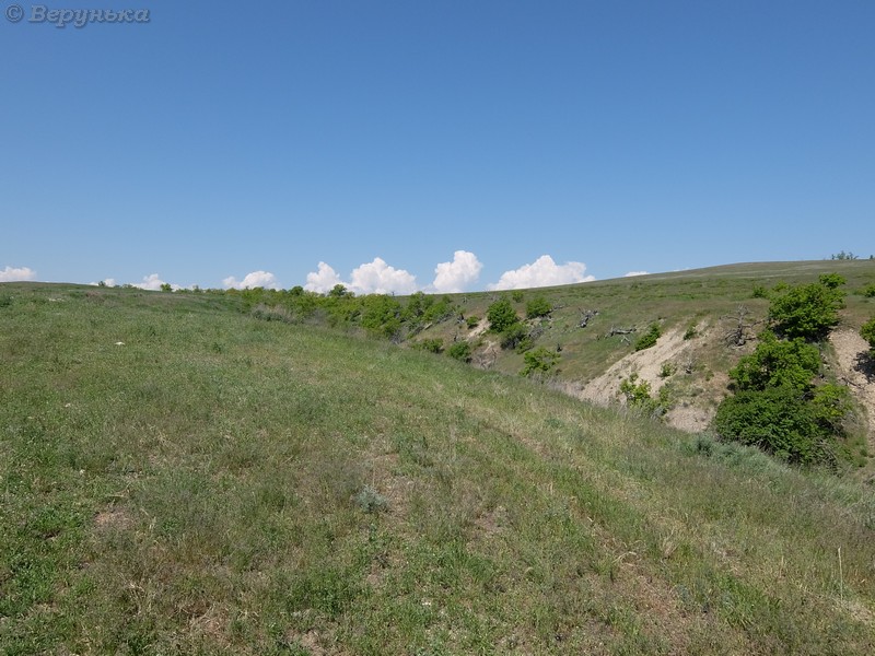 DSCF5614