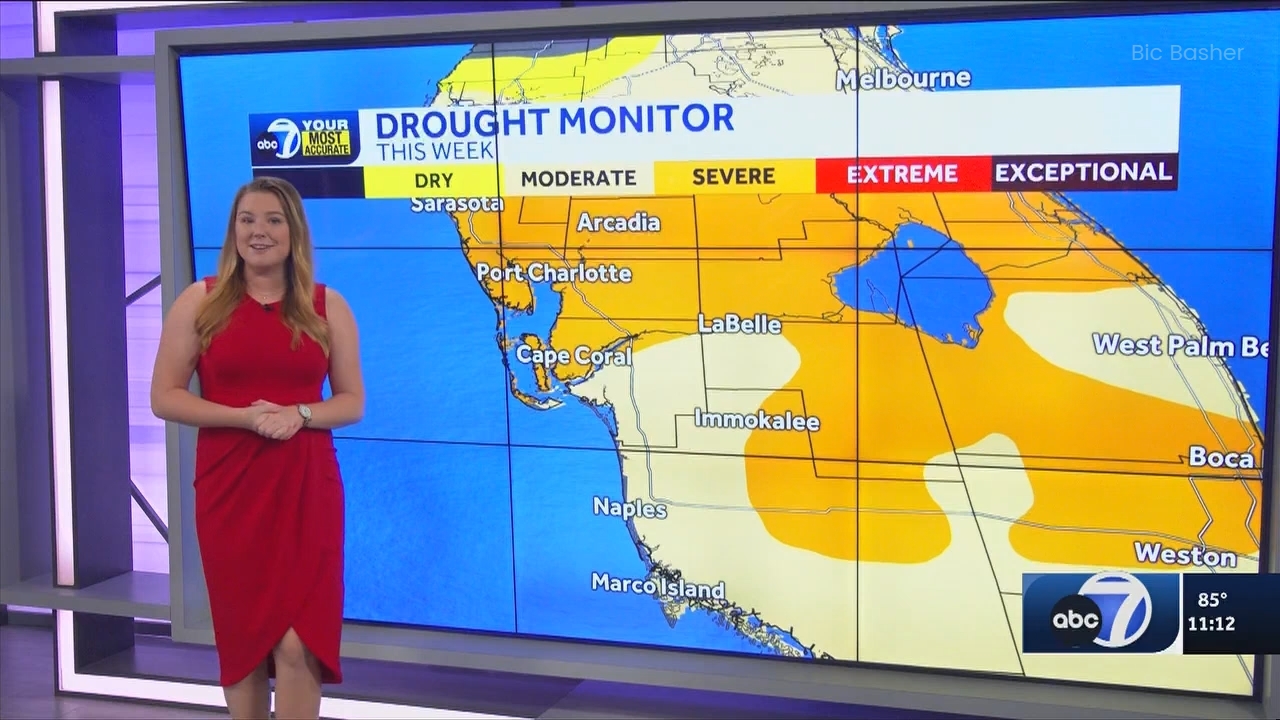 06.09 - 04.00.00 - ABC7 News @ 11pm - Sa  ᴺᵉʷ. No Description Info.ts_snapshot_18.25.685