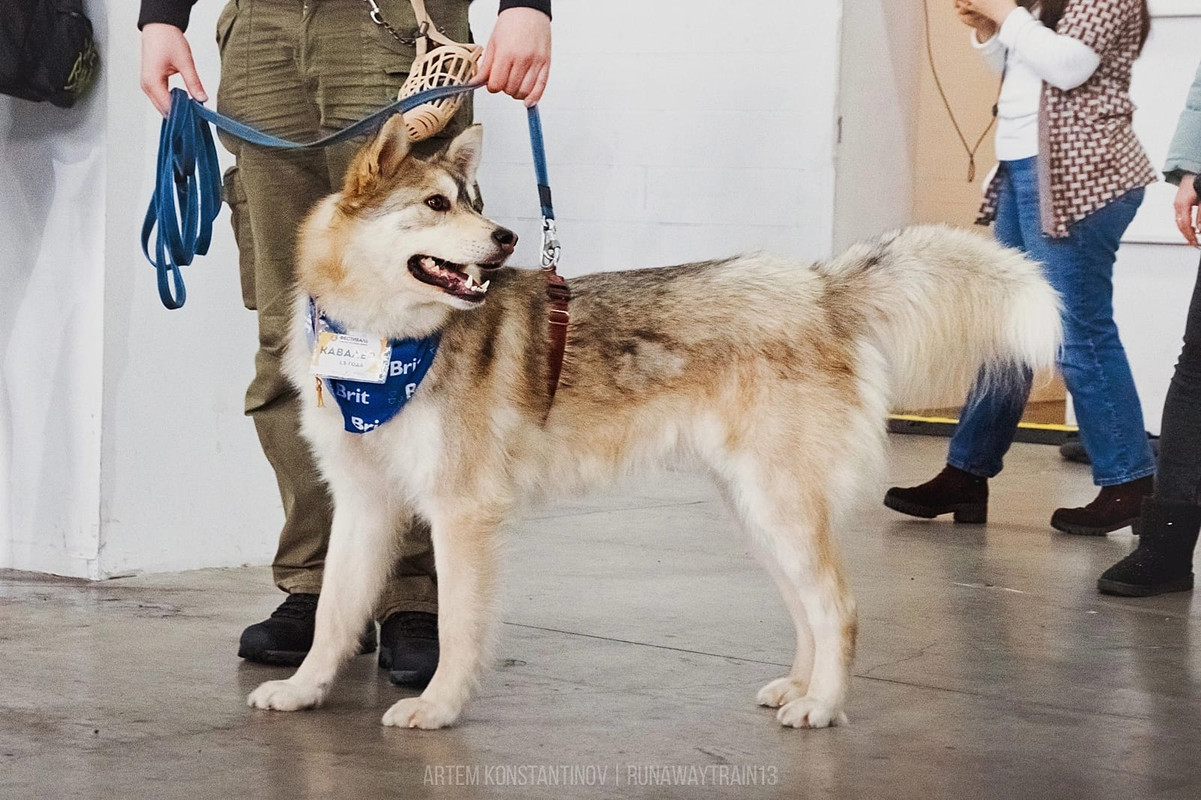 6C74F4FF-30DB-4B74-BAC5-81A348C2281A