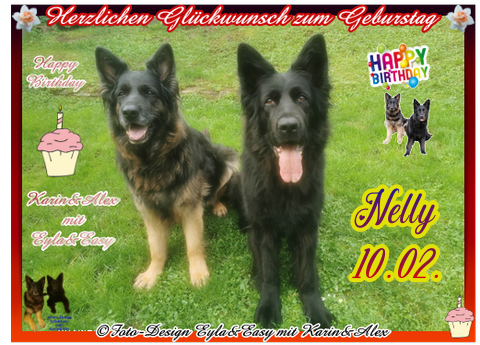 An den Beitrag angehängtes Bild: https://i.postimg.cc/zXDzfCnY/Vorlage-Geburtstag-2026-png-Nelly-10-02-(Silvia).png