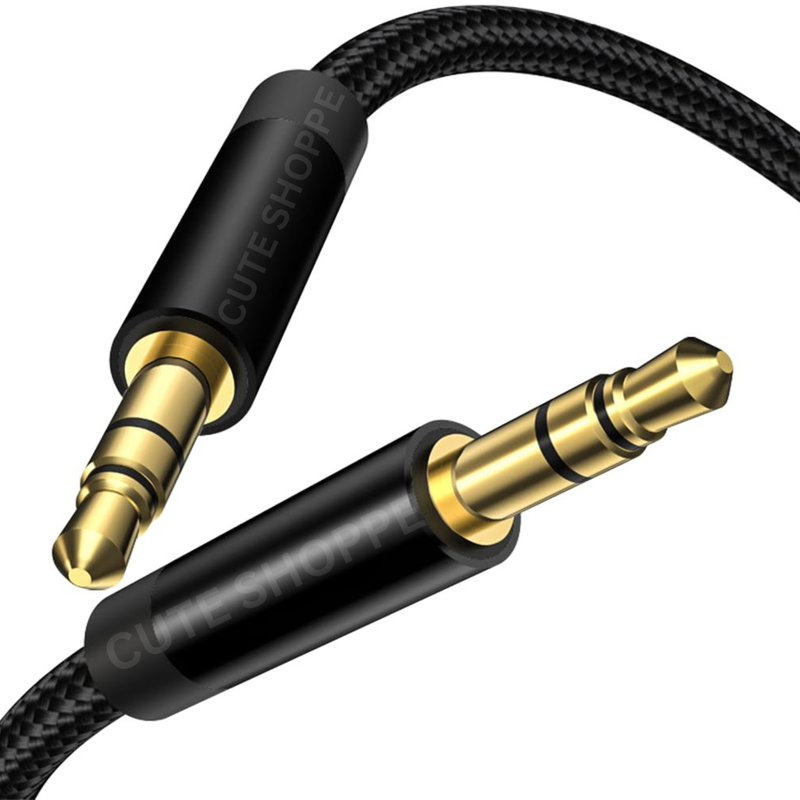 AUX Cable Closeup