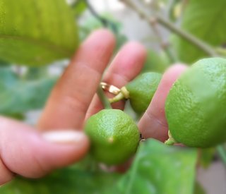 Polish-20240717-112354457