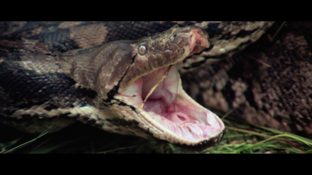 vlcsnap-2024-01-08-15h40m14s075