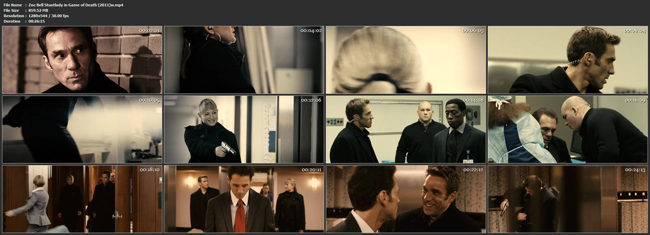 Zoe Bell Stuntlady in Game of Death (2011)w.mp4