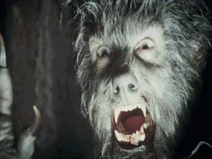 9041379B-03F0-4014-BBD4-A5AFBDBC52E4.gif