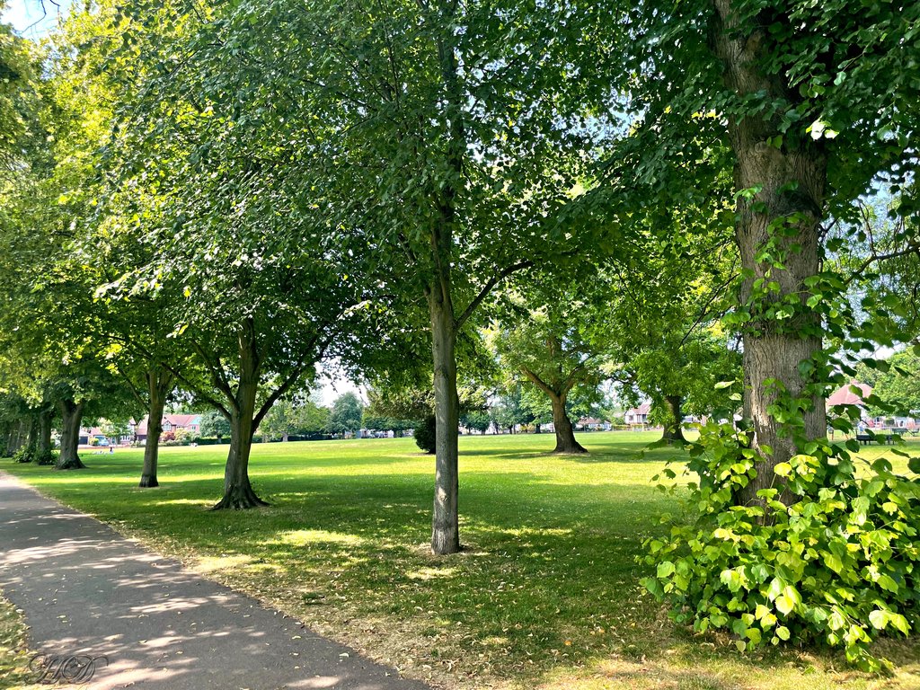 park-brox-HD.jpg