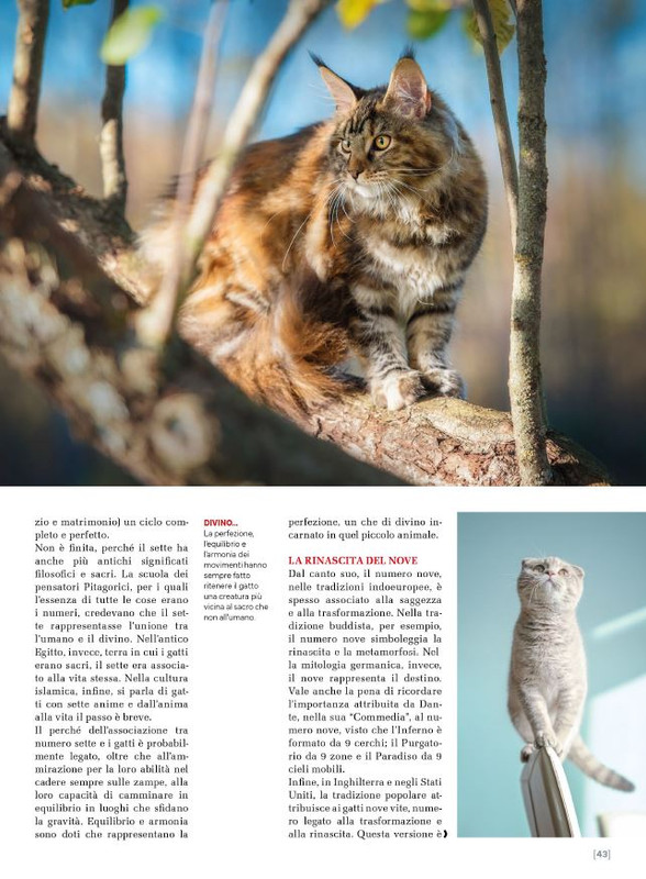 Ga Ma Dic 2024-Gen 2025 (8)