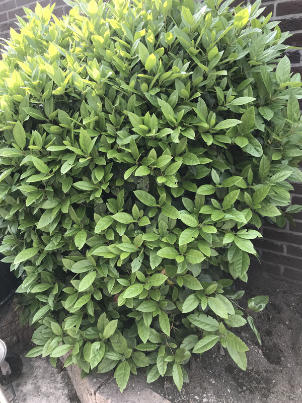 62AD5D0C-7ADA-40B9-BD7B-20A956DF6162