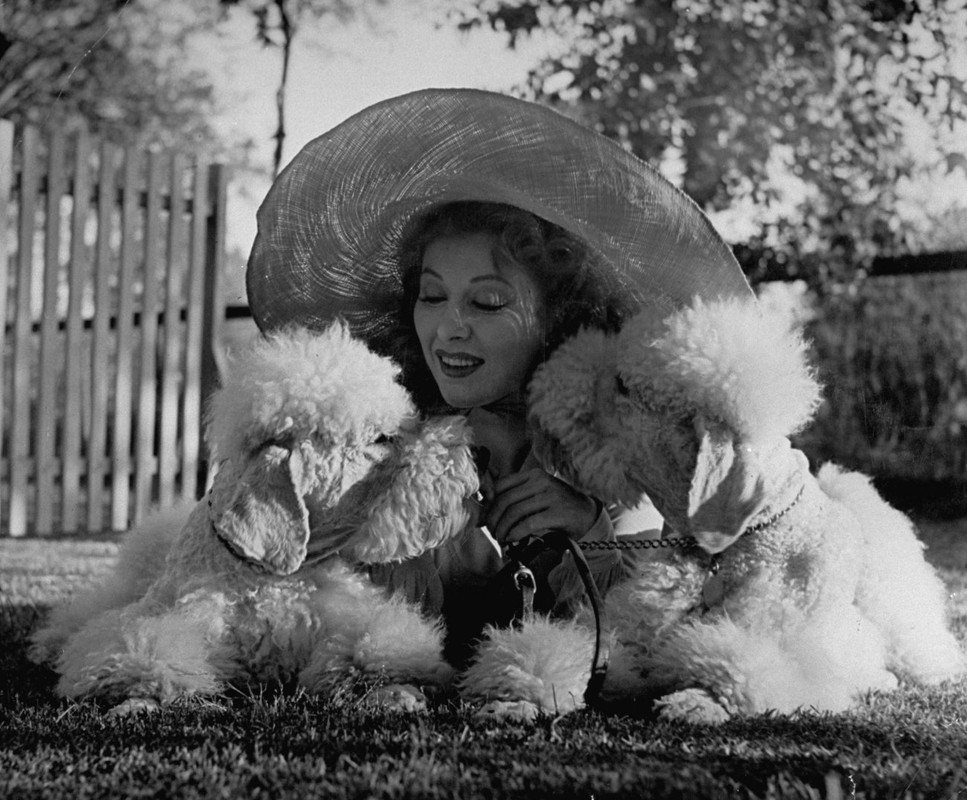 greer_garson_a71