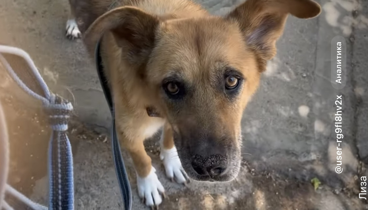 547DC014-2759-418E-AA16-0075DCAFE6D6