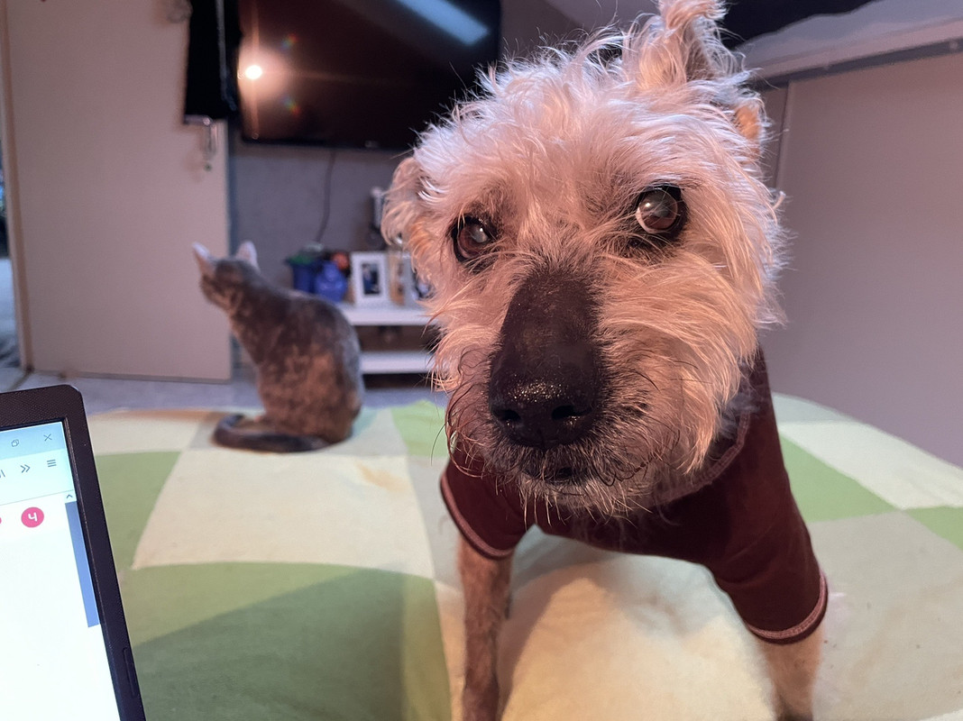 3A2F779B-5BAA-40EE-BBB5-7A11FBD22B0D