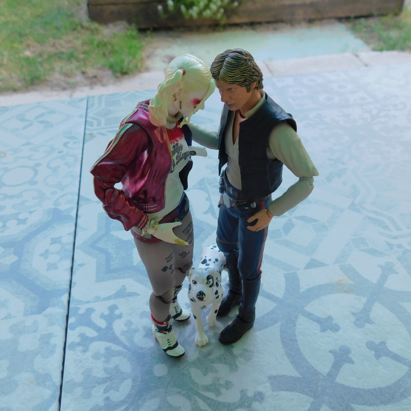 Дачно-Харлинский июнь-июль 2024 288