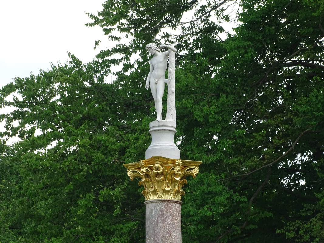 DSC00424.jpg