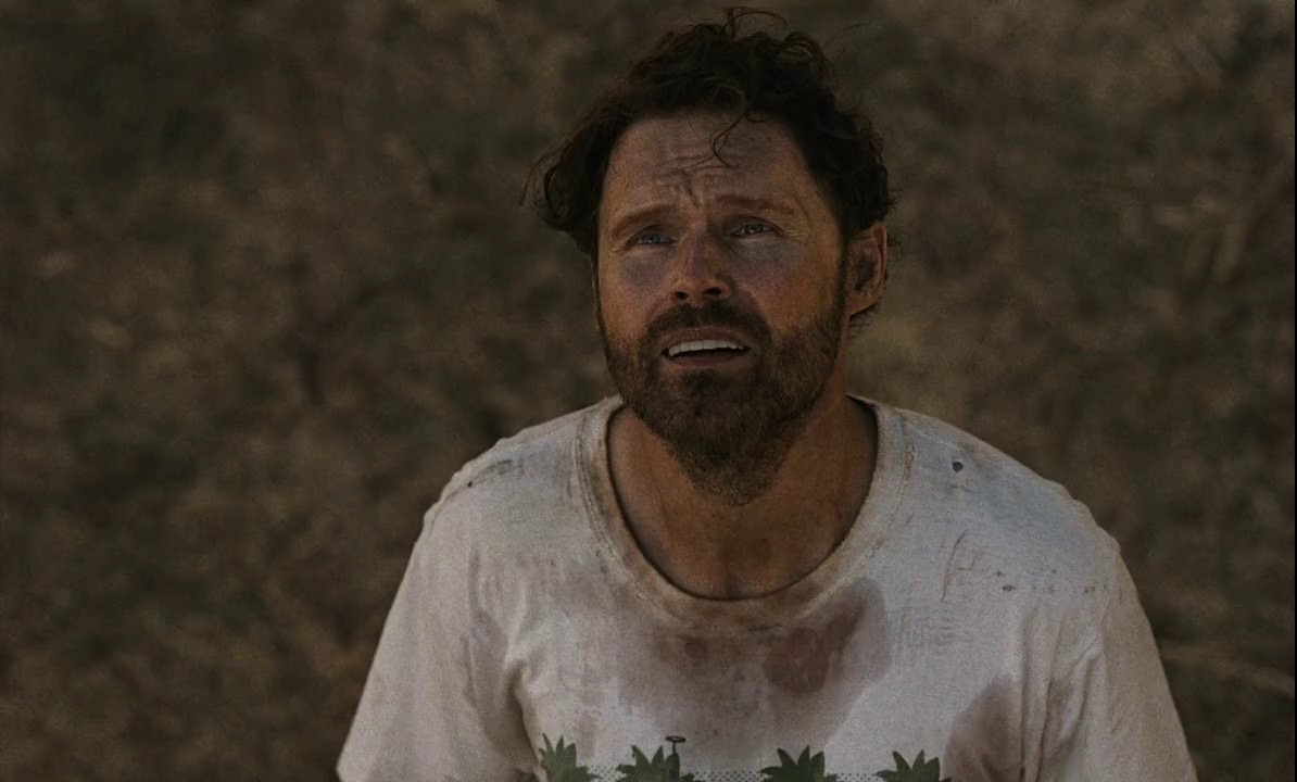 The-Seeding-2024-Hindi-Multi-WEBRip-720p-x264-AVC-AC3-6ch-ESub-mkv-0004