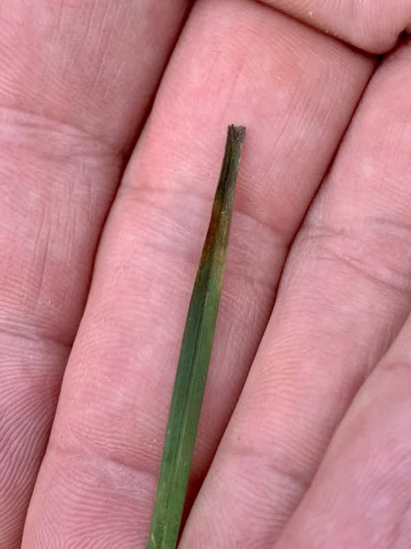 FE011332-FDEC-4083-B12F-598672A59178